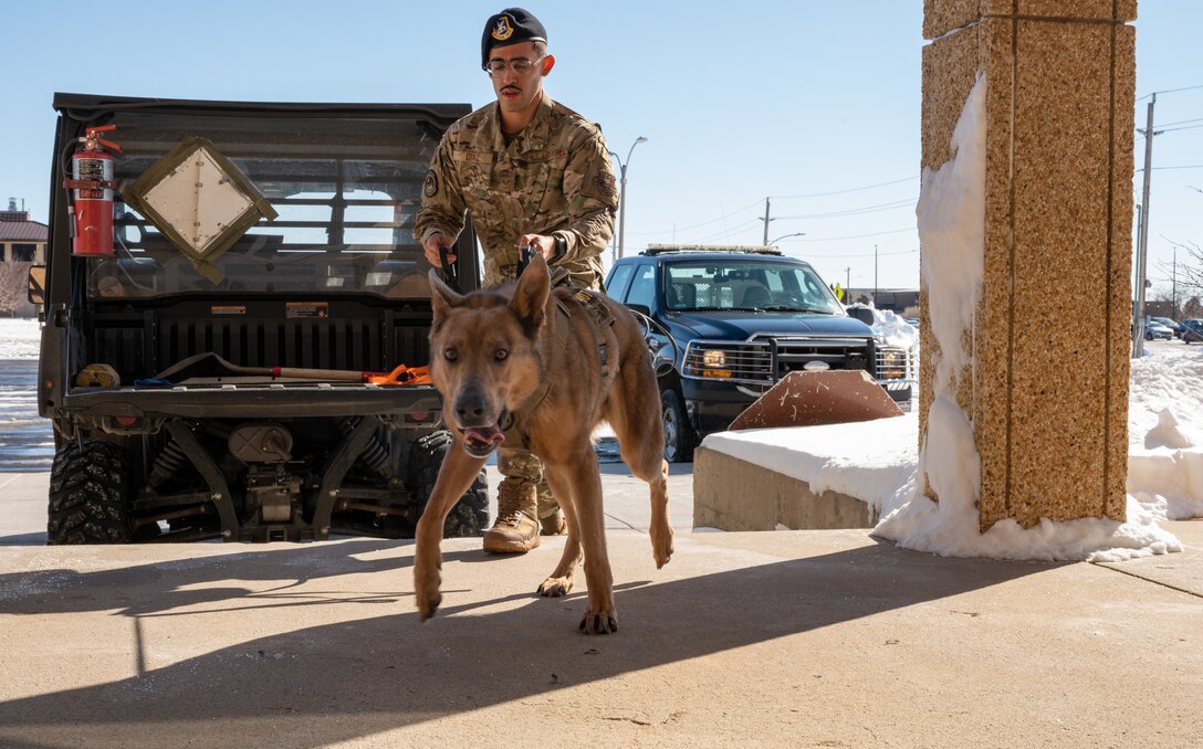 Senior Airman Victor Diaz, 28th Security Forces Squadron military working dog (MWD) handler, enters the assessment zone with Lezer, 28th SFS MWD, at Ellsworth Air Force Base, S.D., March 7, 2022.
