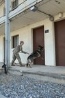Soldier stands behind Military Working Dog along the outside of a training barracks building as the dog paws at the door to indicate the decoy target has been located.