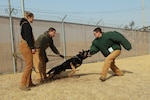 Airman watches instructor who holds the leash of the military working dog who is leaping toward a soldier wearing a protective bit shirt, mouth open and ready to bite the arm.