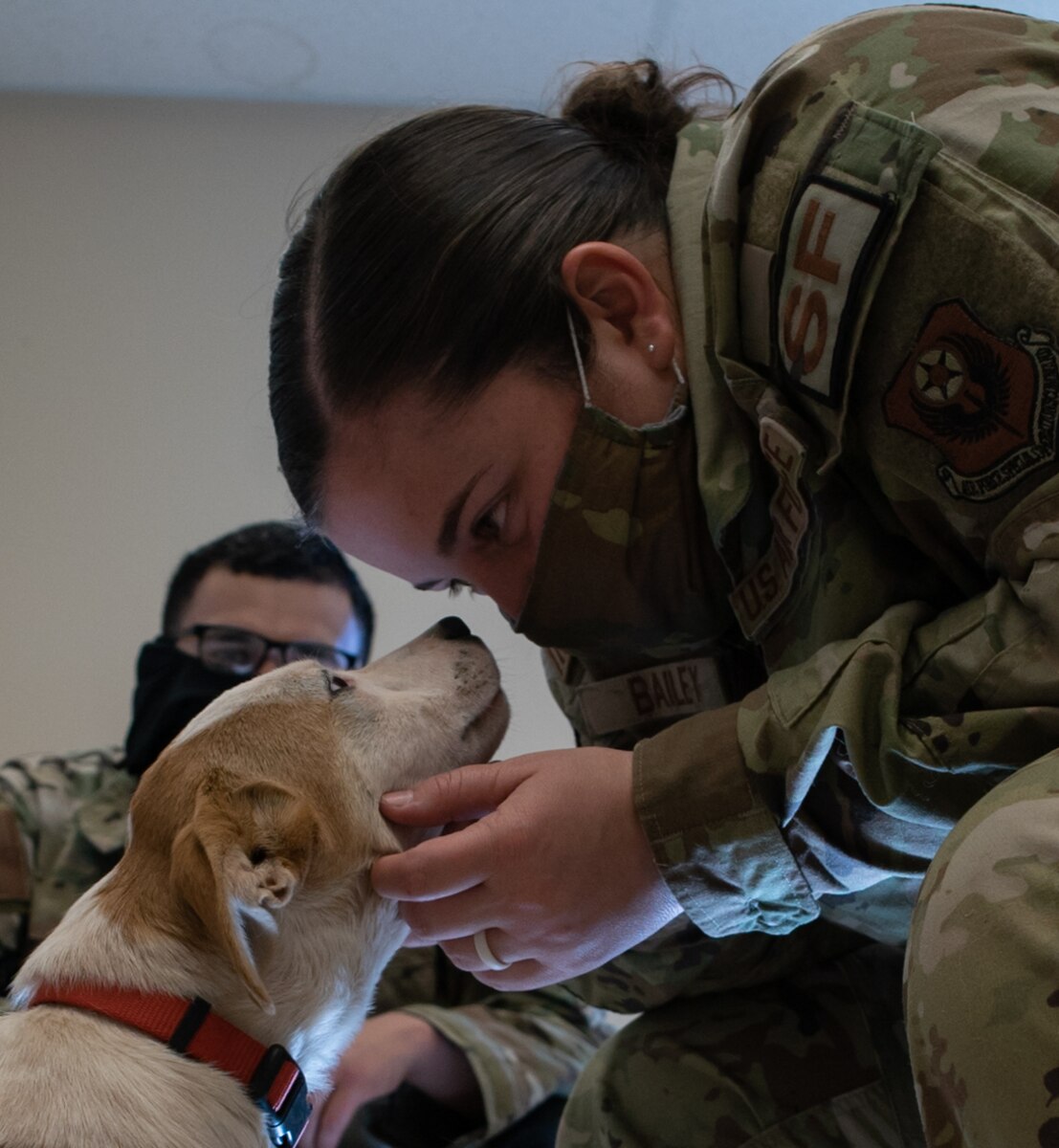 A U.S. Air Force Airman rubs a dog's face.