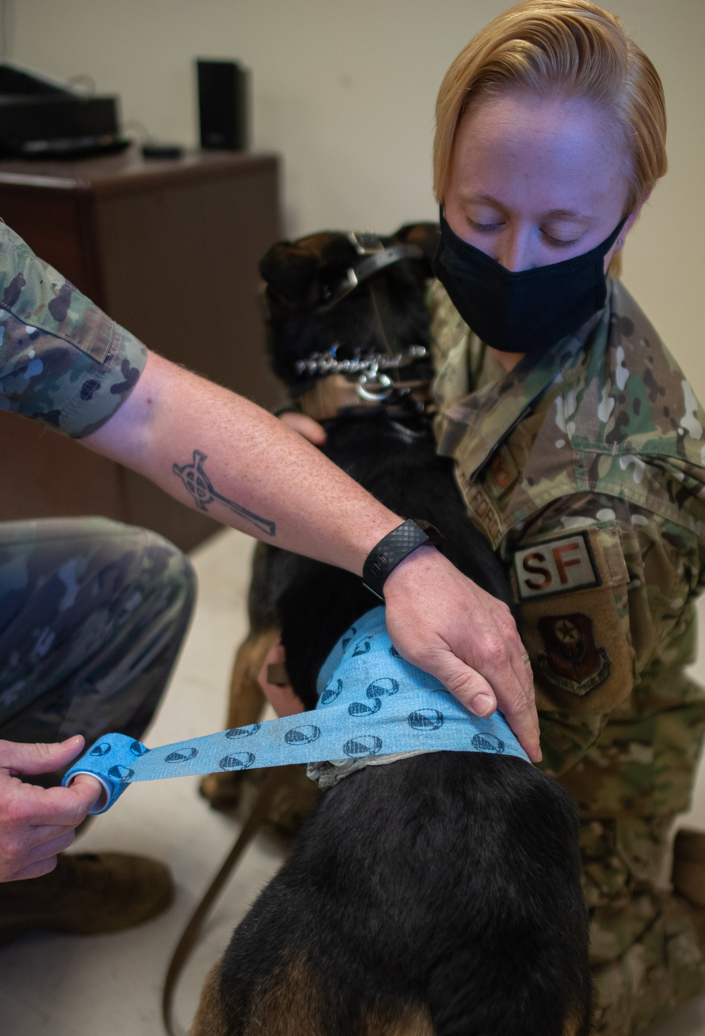 US Army veterinarians provide training for Air Force military working