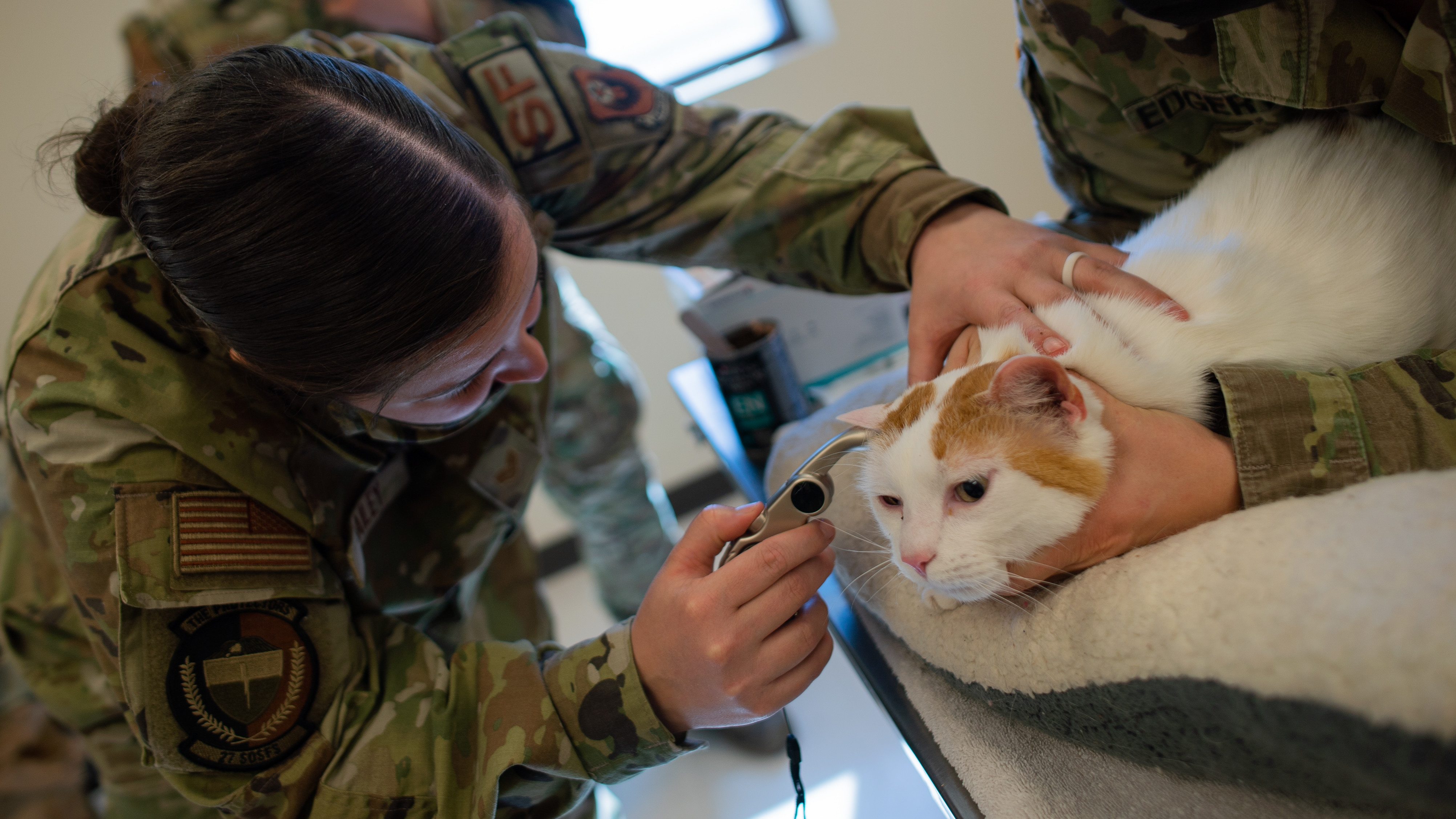 US Army veterinarians provide training for Air Force military working