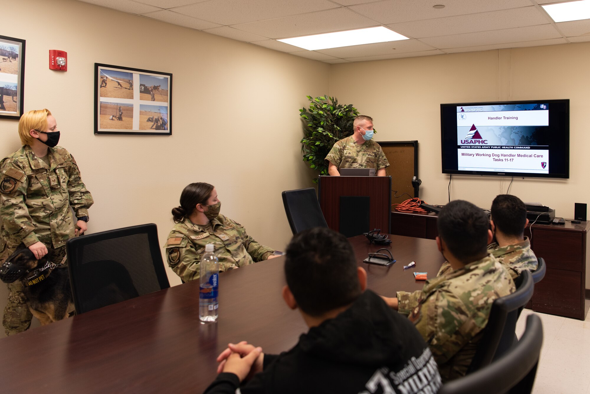 US Army veterinarians provide training for Air Force military working dog handlers > Cannon Air Force Base > Article Display