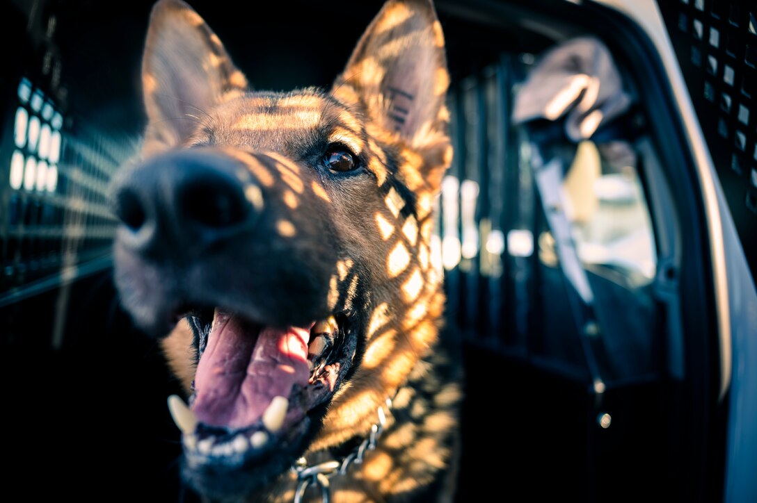 Honoring MWDs
