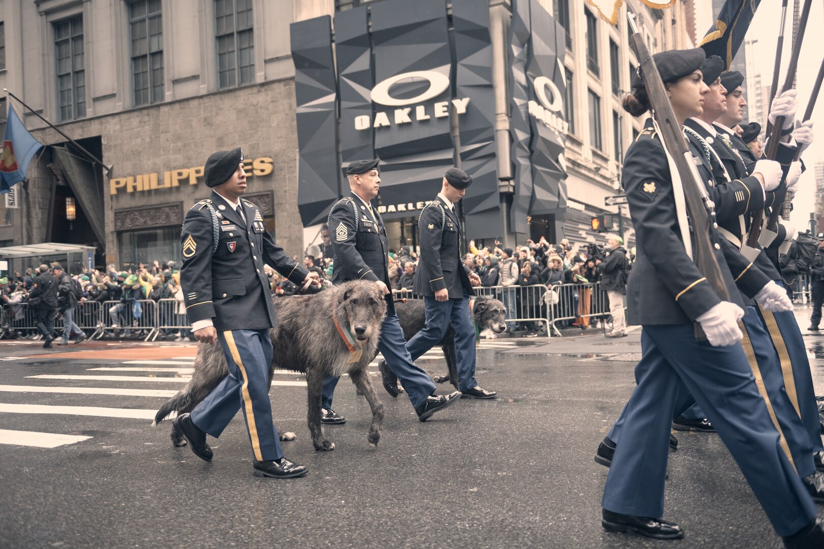 The best junior enlisted Soldier and best non-commissioned officer of the year, of the New York Army National Guard's 1st Battalion, 69th Infantry Regiment, lead the unit's mascots, two Irish Wolfhounds named Billy and Autumn, during the St. Patrick's Day Parade, Manhattan, New York, March 17, 2022.