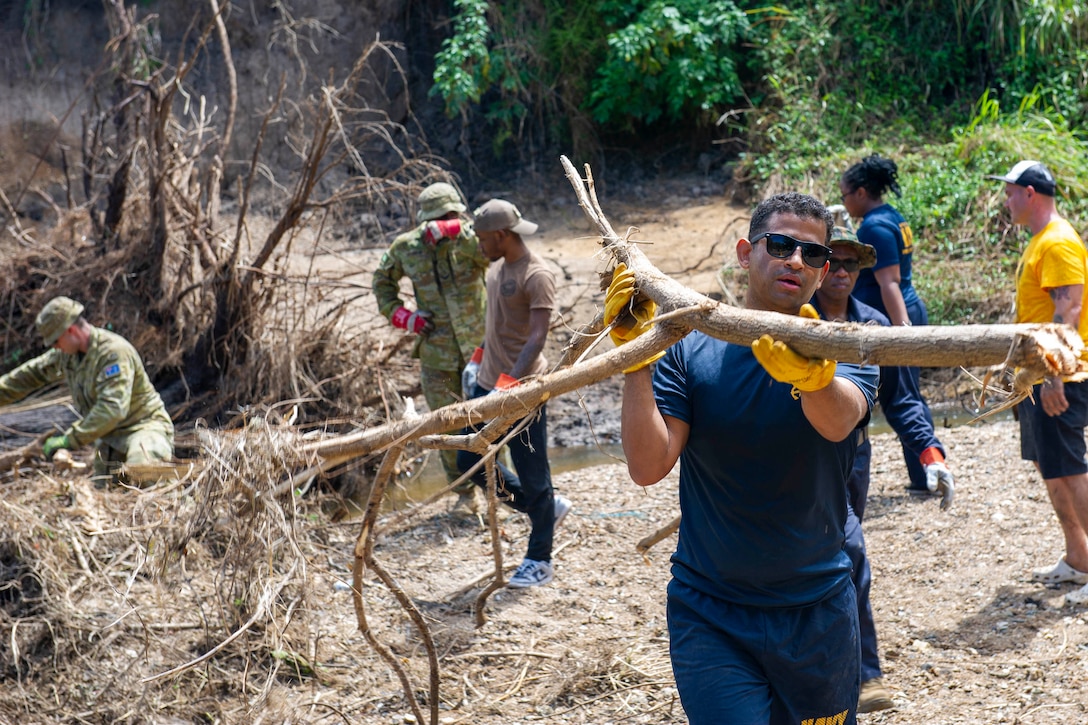 A sailor carries branches while others clear a wooded area.