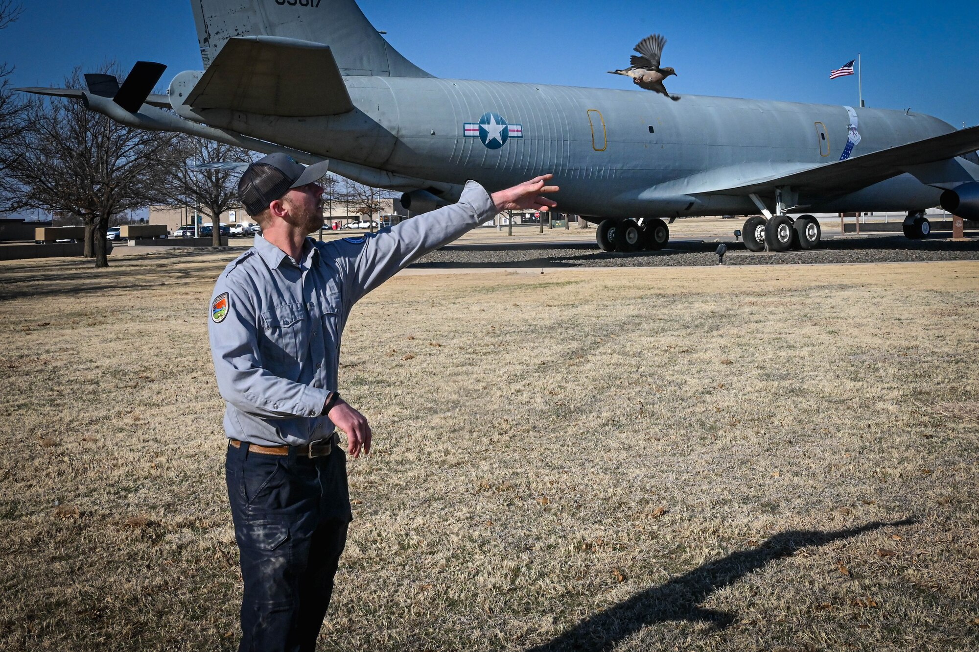 Adam Kohler, 97th Air Mobility Wing wildlife biologist, releases a mourning dove at Altus Air Force Base, Oklahoma, March 15, 2022. Doves are caught, banded and released back into the wild to track their movements. (U.S. Air Force photo by Senior Airman Kayla Christenson)