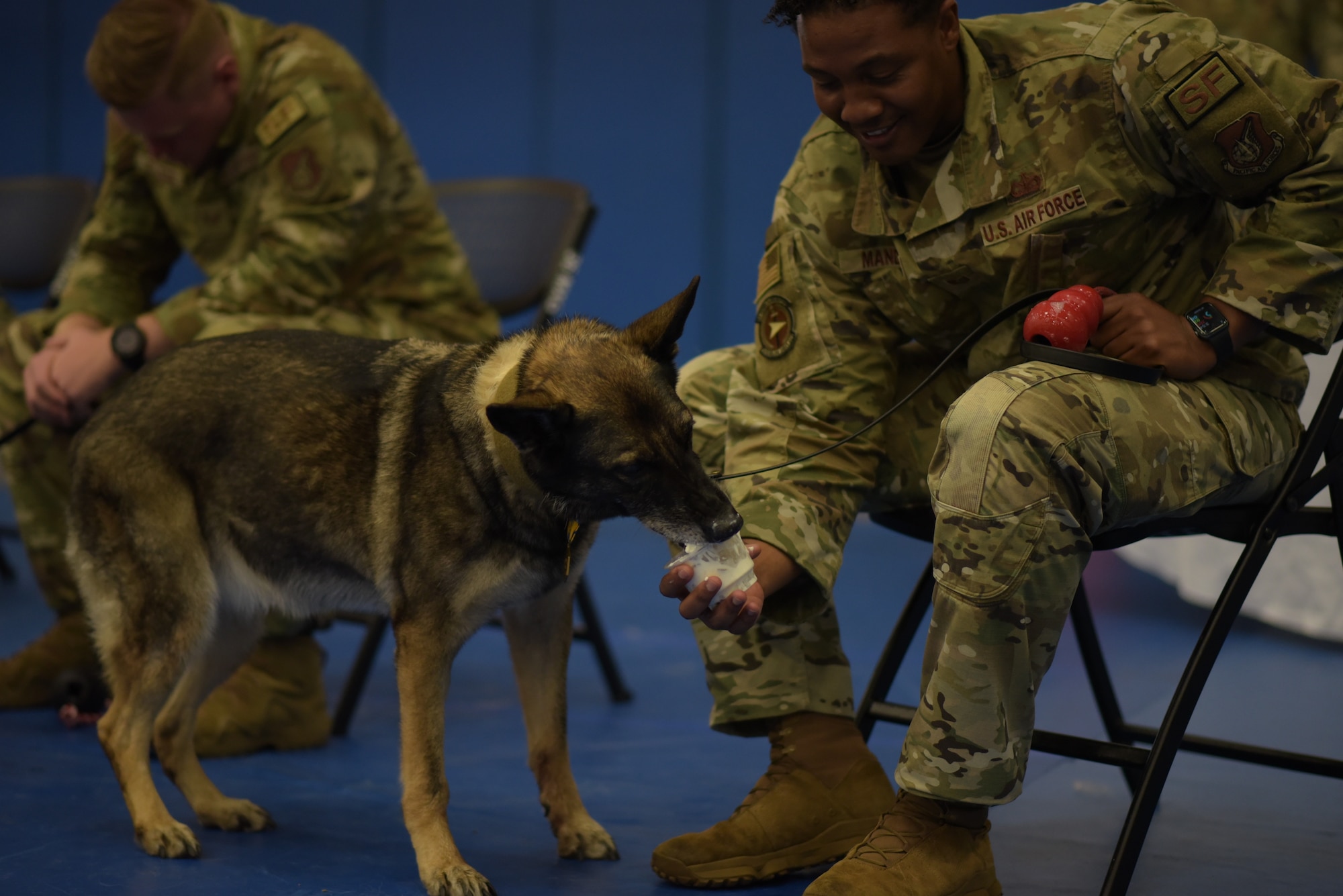 U.S. Air Force Tech. Sgt. Michael Mandel, 36th Security Forces Squadron Military Working Dog handler, feeds MWD Foxie a cup of whipped cream after a MWD retirement ceremony at Andersen Air Force Base on March 23, 2022. The ceremony recognized four dogs with a combined 29 years of service. (U.S. Air Force photo by Airman 1st Class Emily Saxton)