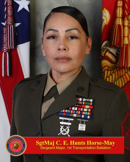 Sergeant Major Christina E. Hunts Horse-May > 1st Marine Logistics ...