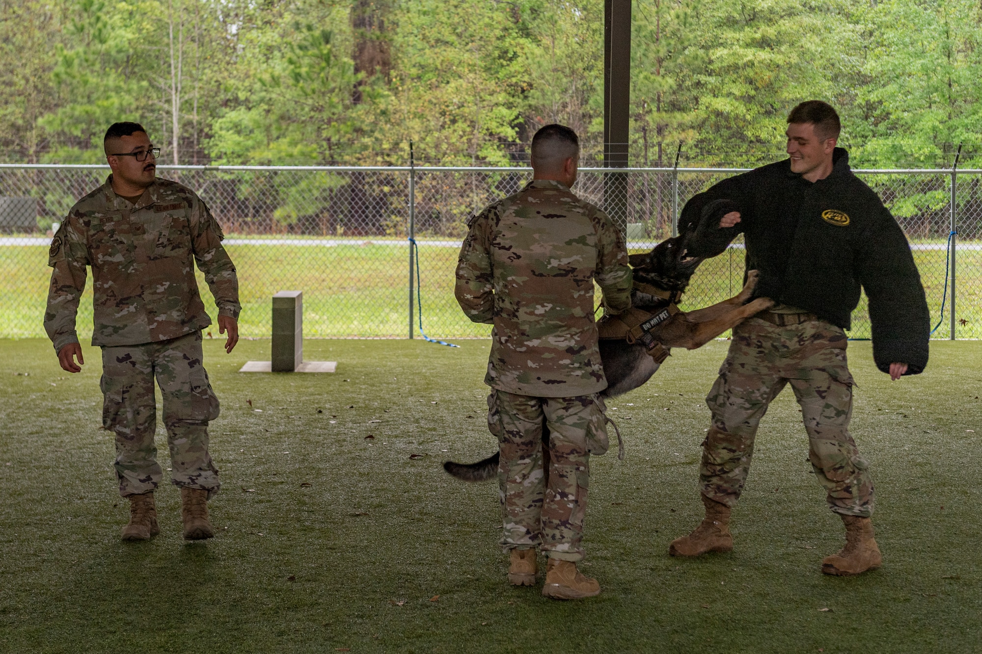 Photo of an Airman participating in a K-9 demonstration