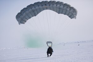 Arctic Guardians conduct operations on arctic sea ice