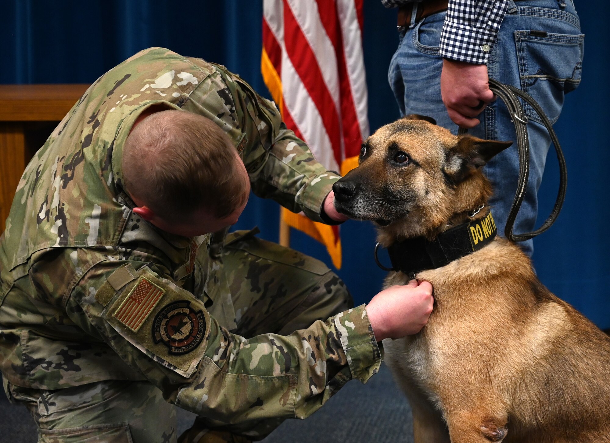 A man pins a medal on a dogs collar.