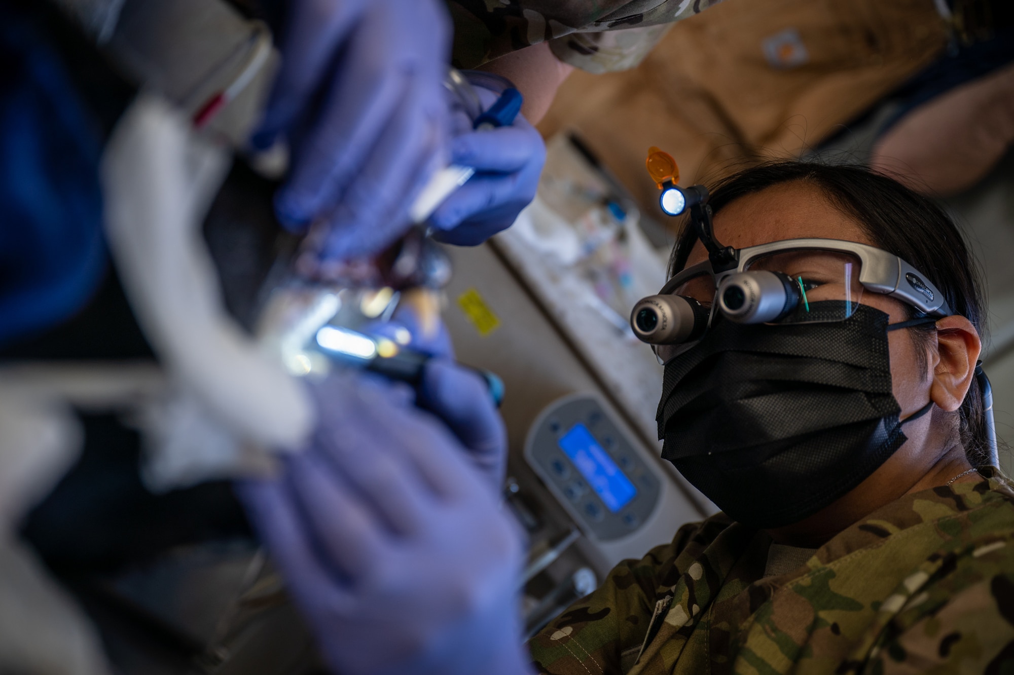 Tech. Sgt. Chantell Mosby, 332d Expeditionary Medical Group dental technician, cleans Military Working Dog BBasso‘s teeth after assisting with a fractured incisor removal at an undisclosed location in Southwest Asia, March 10. 248th Medical Detachment Veterinary Service Support, 3rd Medical Command, and 332d EMDG Dental Services personnel partnered to provide dental care in support of the 332d Expeditionary Security Forces Squadron military working dog mission. (U.S. Air Force photo by Master Sgt. Christopher Parr)