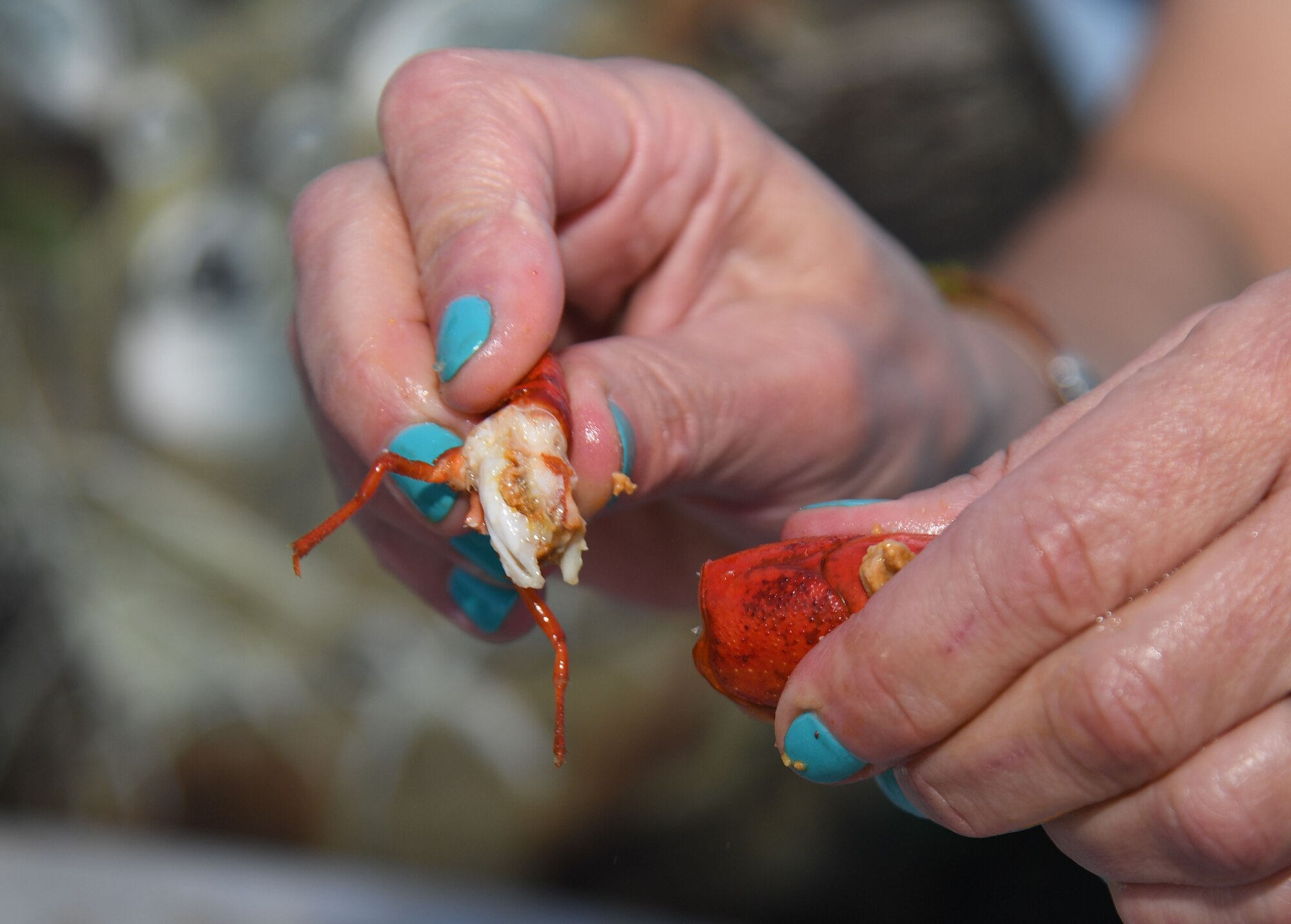 A Keesler member pinches the tail off of a crawfish for eating during the 10th Annual Crawfish Cook-Off at the Bay Breeze Event Center on Keesler Air Force Base, Mississippi, March 25, 2022. More than 20 teams competed in the event and more than 1,500 pounds of crawfish were distributed. (U.S. Air Force photo by Kemberly Groue)