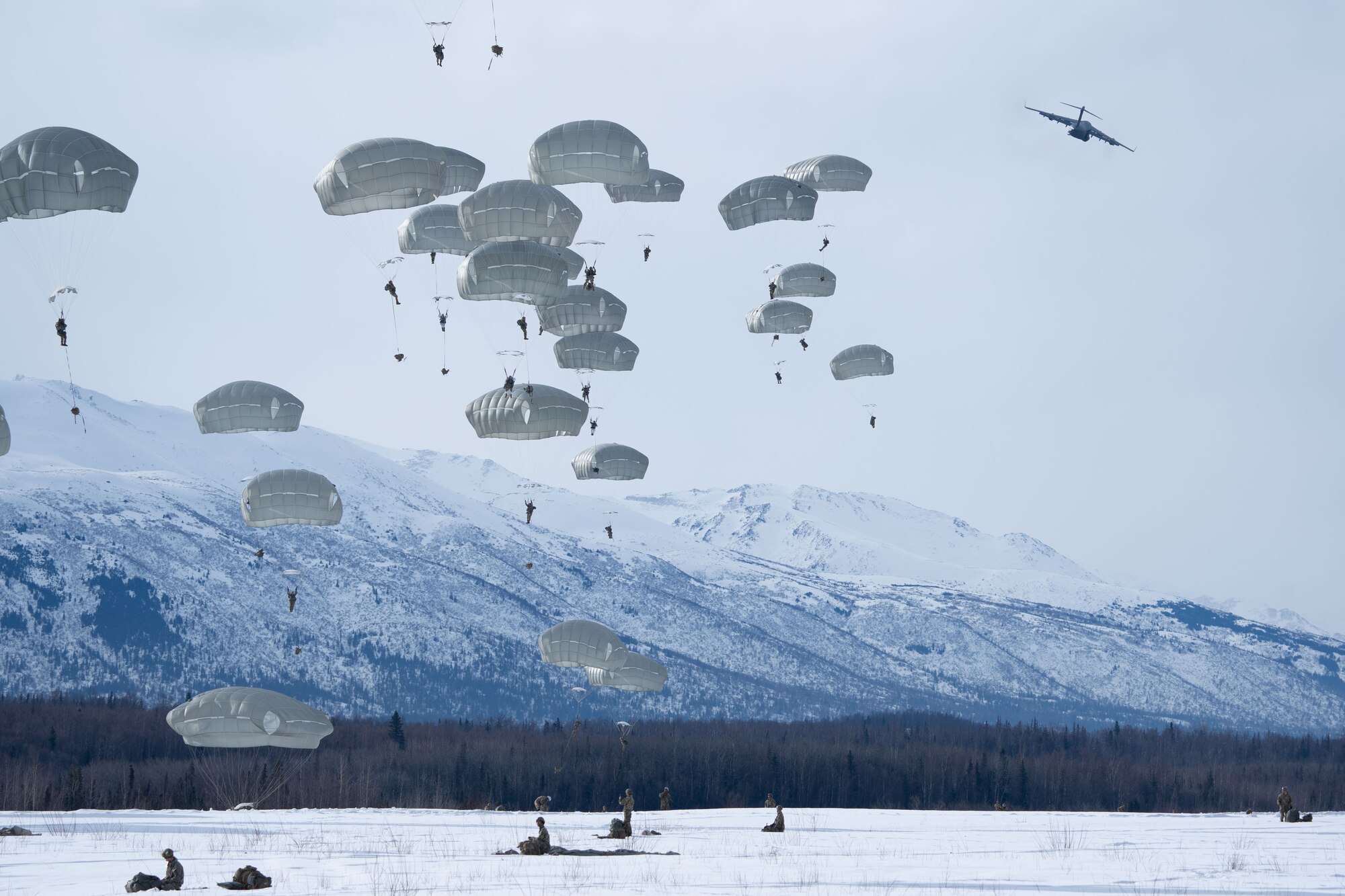 Photo of paratroopers descending after jumping out of a C-17
