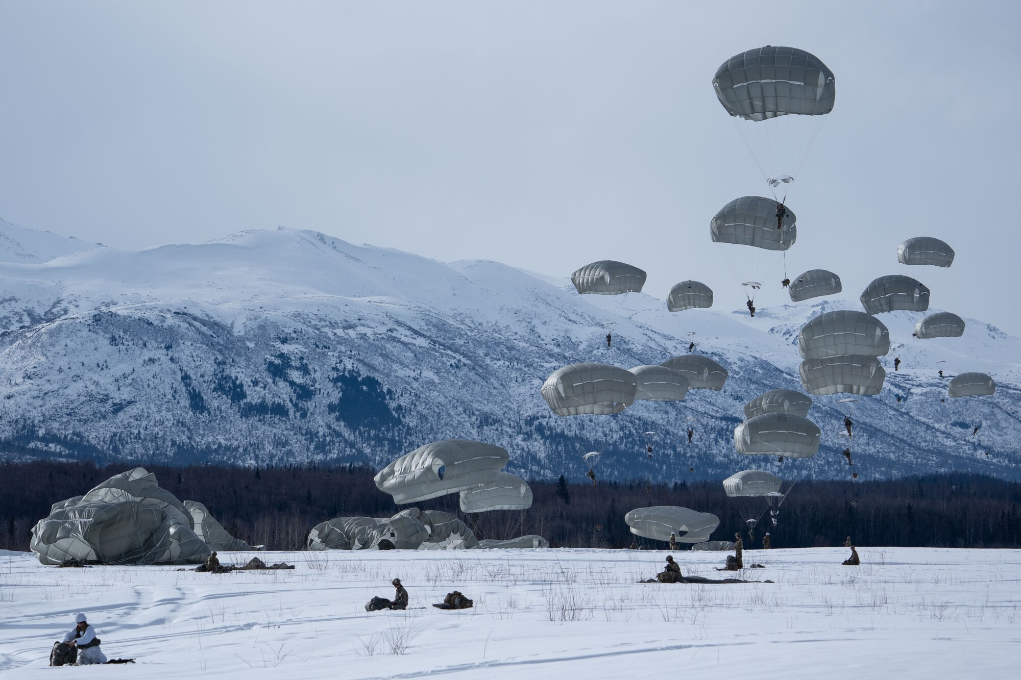 Photo of paratroopers landing after jumping out of a C-17