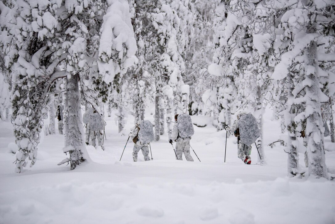 Airmen from the Kentucky Air National Guard’s 123rd Special Tactics Squadron and instructors from the Swedish Subarctic Warfare Center train on cross-country skiing basics in Grubbnäsudden, Sweden, Jan. 11, 2022. Fifteen members from the 123rd STS — including combat controllers; pararescuemen; special reconnaissance personnel; search, evasion, resistance and escape troops; and support Airmen — came here to build upon their relationship with European partners during an arctic warfare training course. (U.S. Air National Guard photo by Phil Speck)