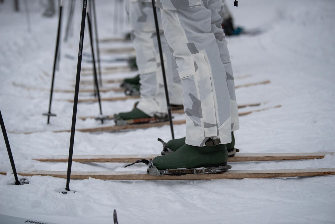 Airmen from the Kentucky Air National Guard’s 123rd Special Tactics Squadron and instructors from the Swedish Subarctic Warfare Center work on cross-country skiing basics in Grubbnäsudden, Sweden, on January 10, 2022. Fifteen members from the 123rd STS — including combat controllers; pararescuemen; special reconnaissance personnel; search, evasion, resistance and escape troops; and support Airmen — came here to build upon their relationship with European partners during an arctic warfare training course. (U.S. Air National Guard photo by Phil Speck)