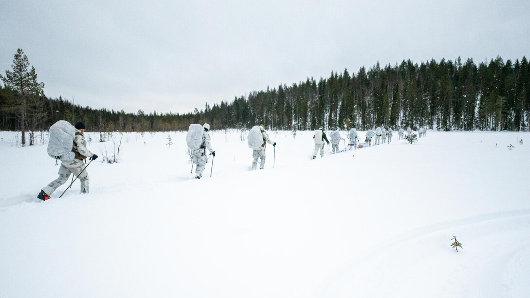 Airmen from the Kentucky Air National Guard’s 123rd Special Tactics Squadron and instructors from the Swedish Subarctic Warfare Center cross-country ski to their next location during a training event in Grubbnäsudden, Sweden, Jan. 16, 2022. Fifteen members from the 123rd STS — including combat controllers; pararescuemen; special reconnaissance personnel; search, evasion, resistance and escape troops; and support Airmen — came here to build upon their relationship with European partners during an arctic warfare training course. (U.S. Air National Guard photo by Phil Speck)