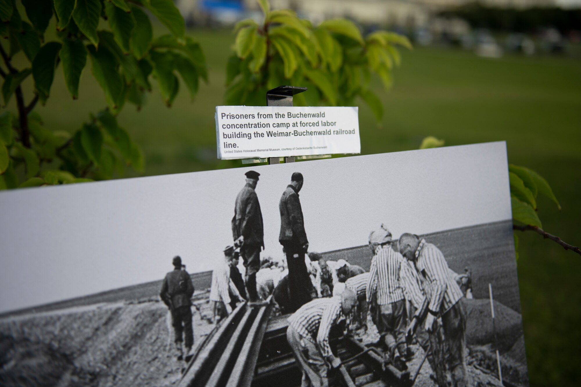 Photos and information pertaining to Holocaust events are displayed during the Days of Remembrance week silent walk at Kadena Air Base, Japan, April 25, 2022. The Nazi’s constructed over 44,000 incarceration sites, including forced labor camps and killing centers. (U.S. Air Force photo by Senior Airman Jessi Monte)