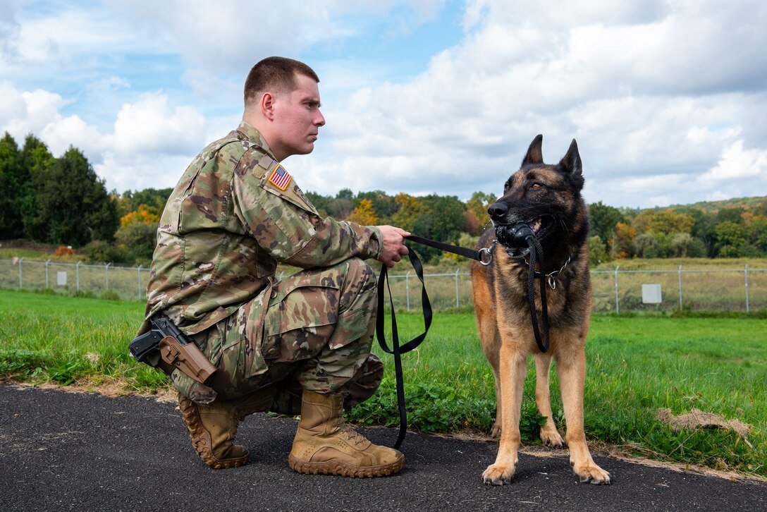 U.S. Army Staff Sgt. Nelson Struck, a military working dog handler (MWD) with the 928th Military Working Dog Detachment, Connecticut National Guard, sits with MWD Rexo after completing a successful detection training in Newtown, Connecticut, Oct. 8, 2021. The training was part of a demonstration of skill during a visit from Senior Enlisted Advisor Tony Whitehead, senior enlisted advisor to the Chief of the National Guard Bureau, who visited the unit to speak with Soldiers and learn more about the 928th’s mission and capabilities. (U.S. Air National Guard photo by Senior Master Sgt. Sarah Mattison)