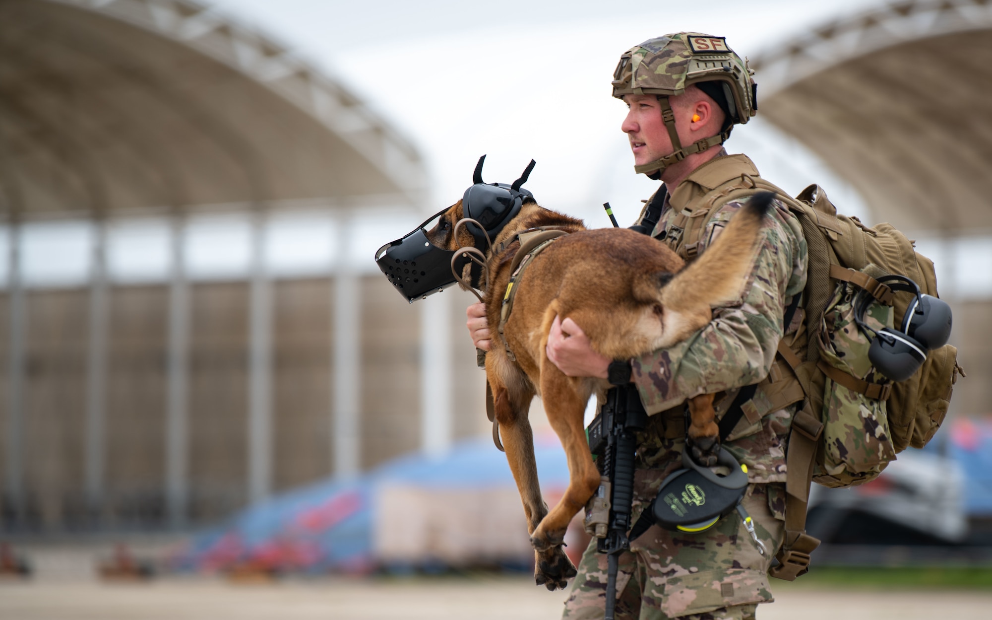 Staff Sgt. Russell Postmus, 8th Security Forces Squadron military working dog (MWD) handler, and MWD Ricky prepare to board a CH-47 Chinook helicopter, assigned to U.S. Army Bravo Company, 3-2 General Support Aviation Battalion, out of Camp Humphreys, Republic of Korea, during a K-9 medical evacuation training event at Kunsan Air Base, ROK, April 26, 2022. The handlers gradually exposed the MWDs to the helicopters to familiarize them with the noises and vibrations to reduce their anxiety while flying. (U.S. Air Force photo by Staff Sgt. Gabrielle Spalding)