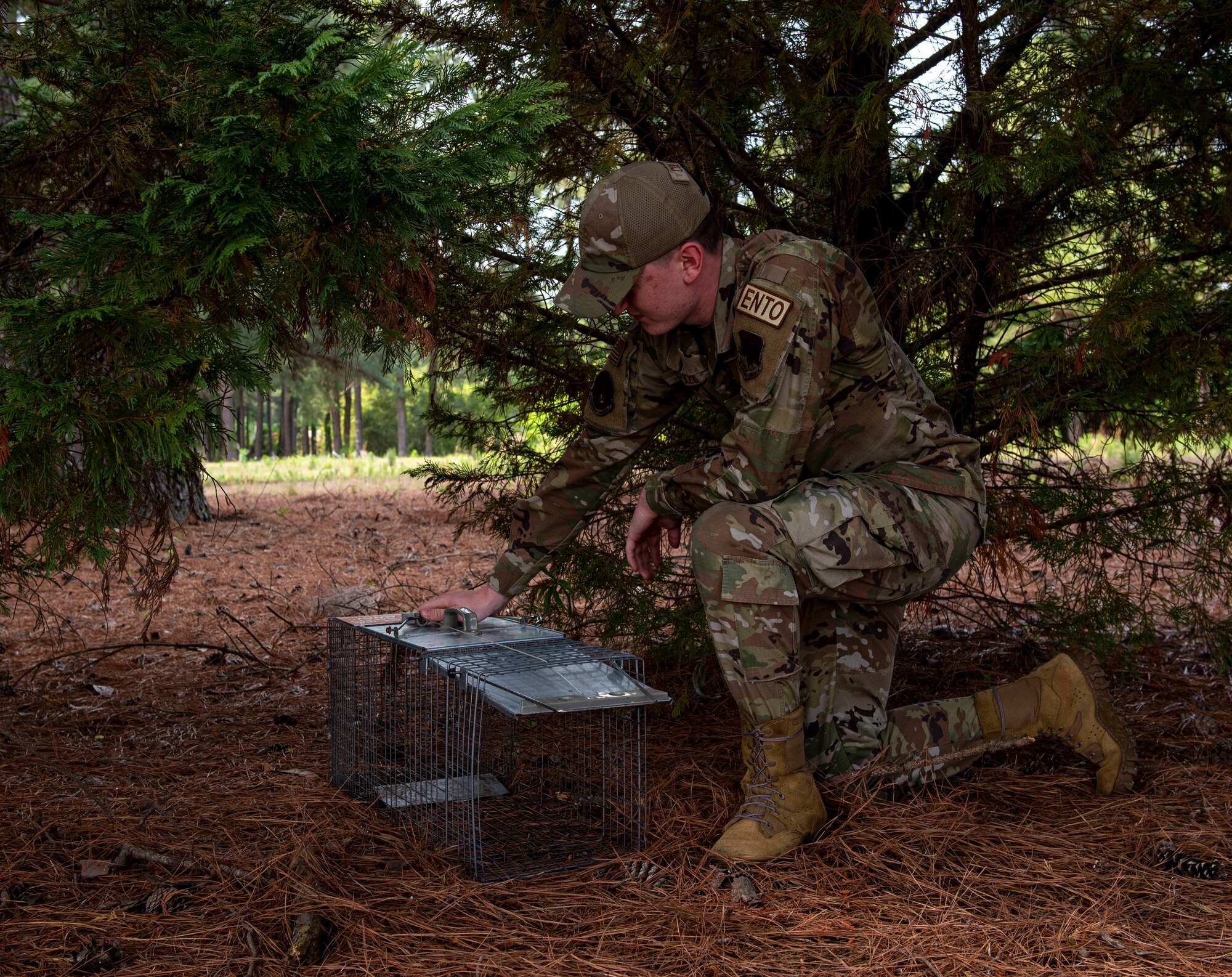 Airman 1st Class Jordan Collazo, 4th Civil Engineer Squadron pest management apprentice, sets up an animal trap at Seymour Johnson Air Force Base, North Carolina, May 3, 2022. Pest management works to prevent the increasing number of insects and animals by removing or relocating wildlife from the area before it negatively impacts the mission. (U.S. Air Force photo by Airman 1st Class Sabrina Fuller)