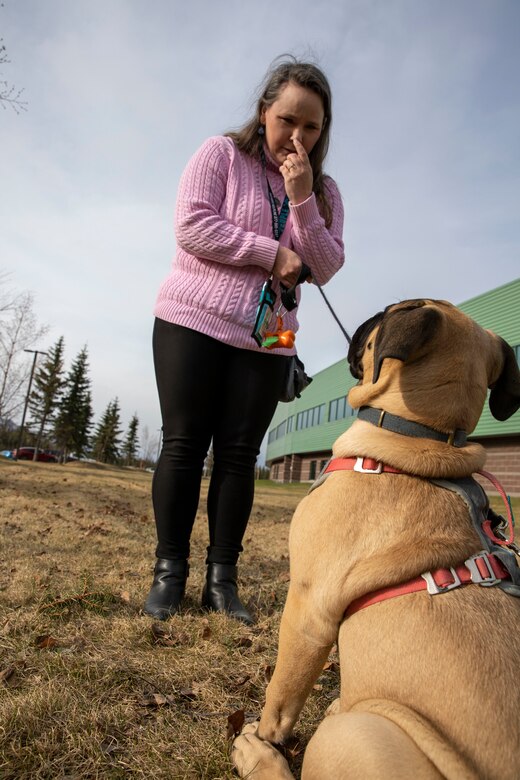 Ashley Shelton, the Alaska National Guard Joint Force Headquarters Sexual Assault Prevention and Response coordinator works with Eris, a four-month-old fawn Bullmastiff, outside of the AKNG armory on Joint Base Elmendorf-Richardson, May 3, 2022.