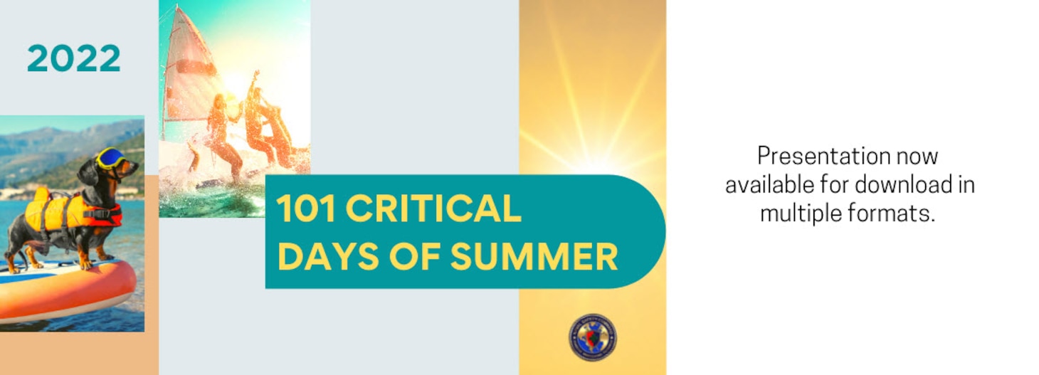 101 Critical Days of Summer