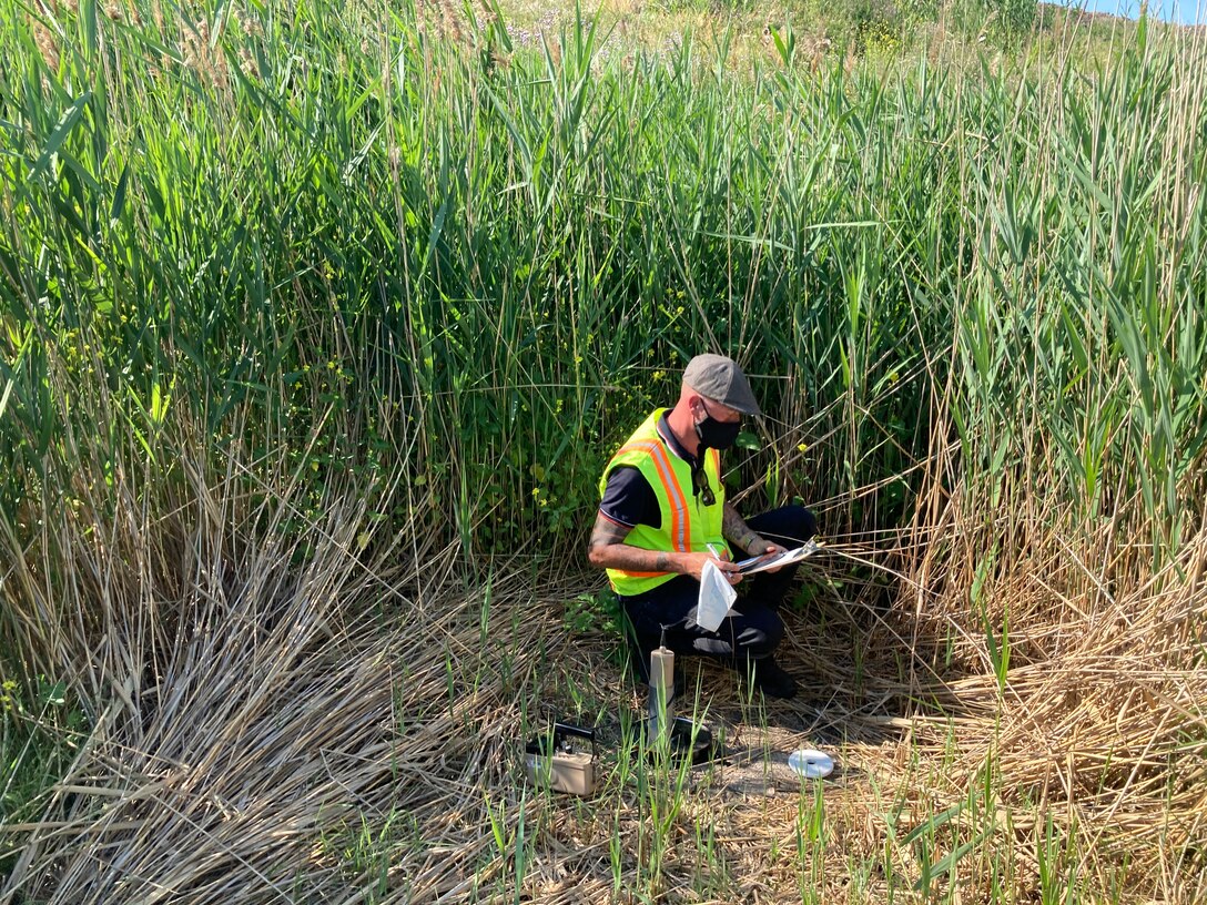 Man wearing yellow vest conducts scientific measurement in field of tall green grass.