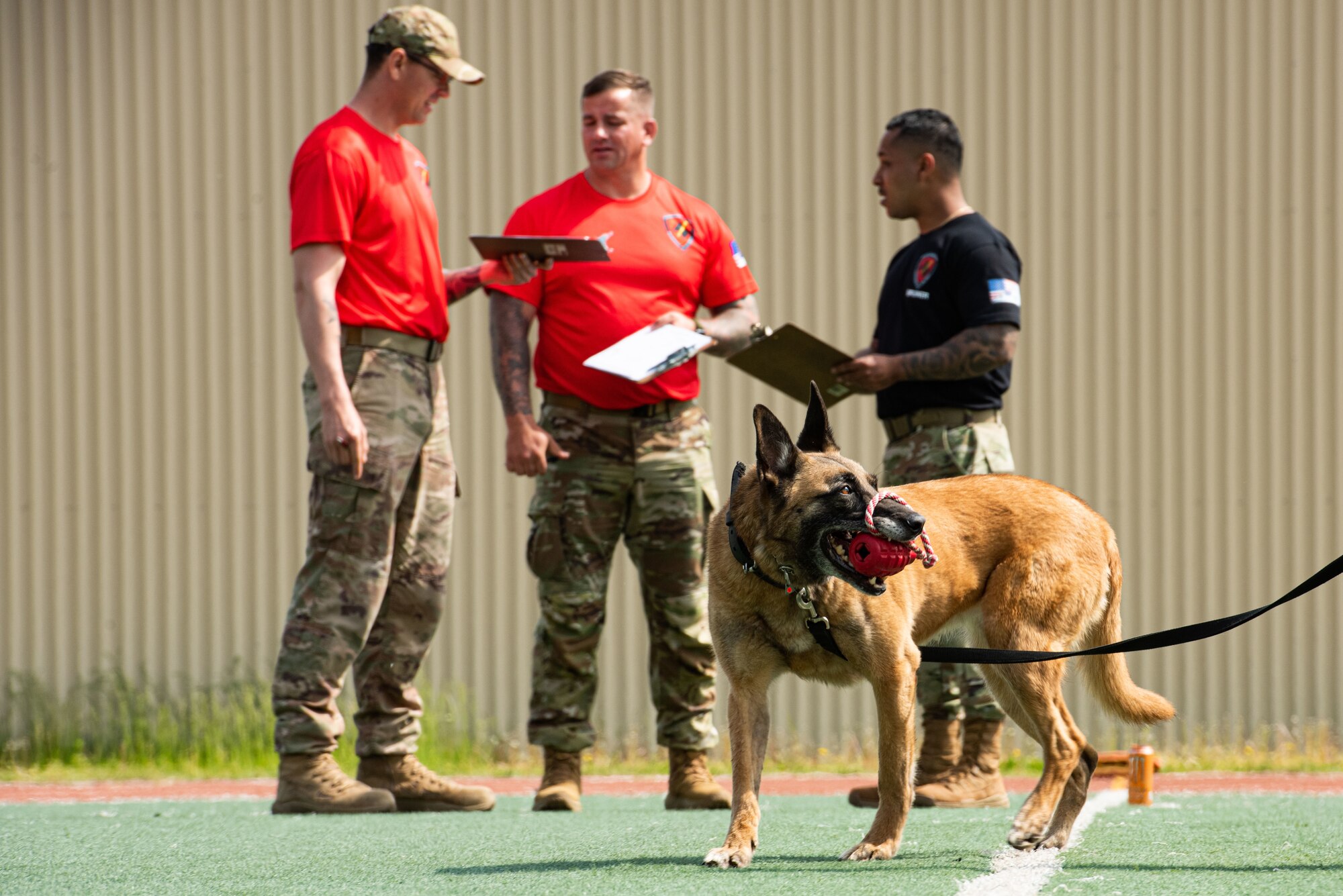 Judges deliberate scores of the military working dogs