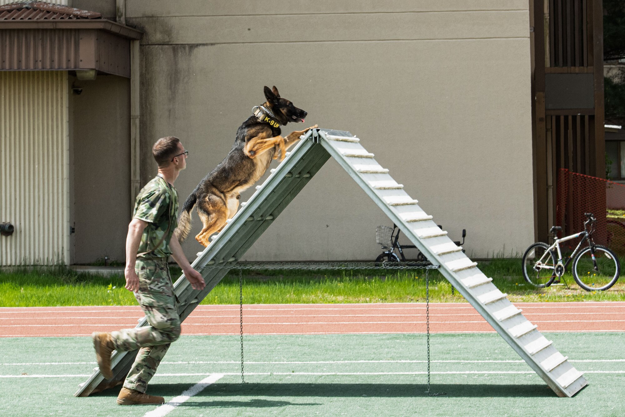 Osan Airman watches his K9 climb a ladder