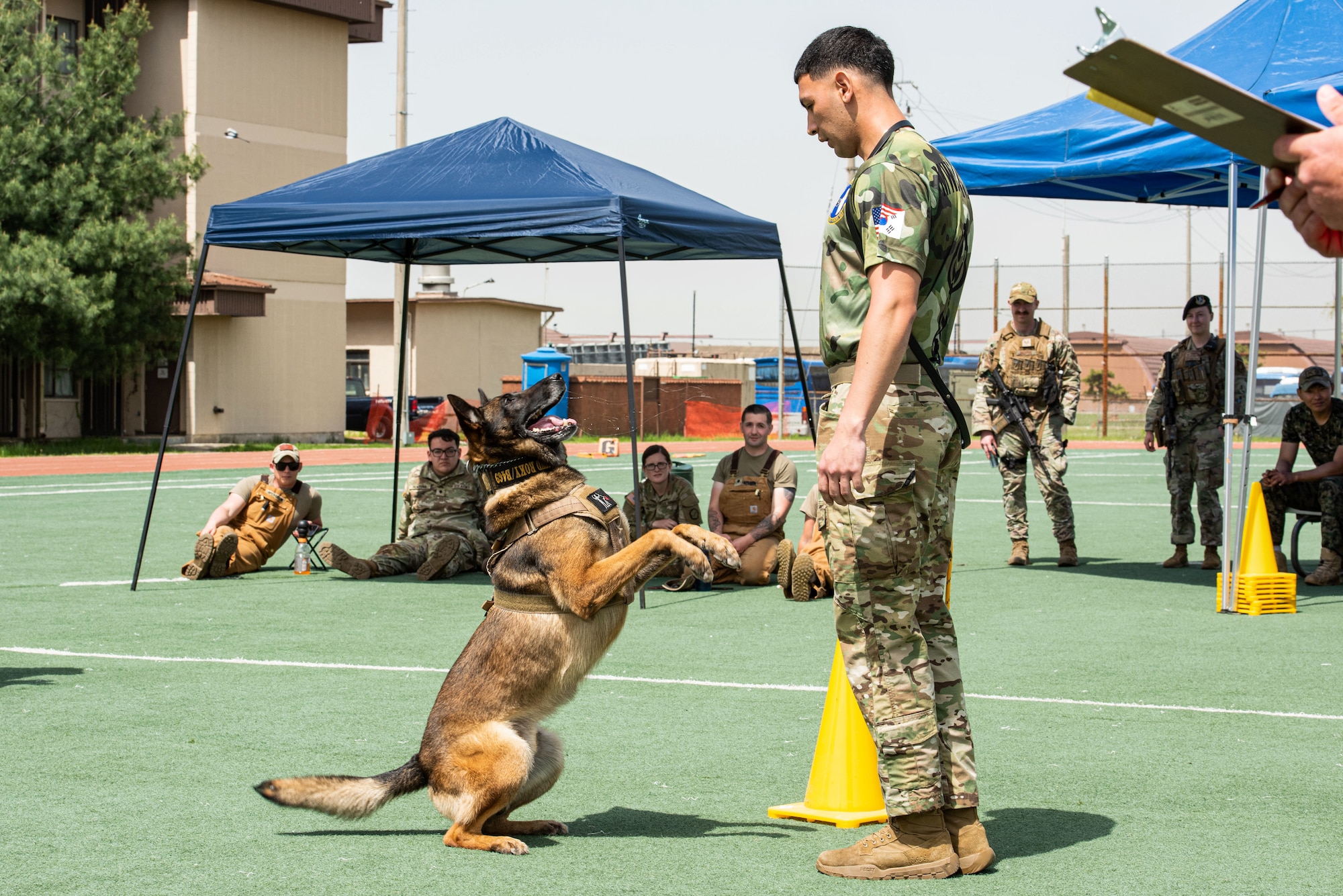 A Military Working Dog gets excited after completing obstacle course