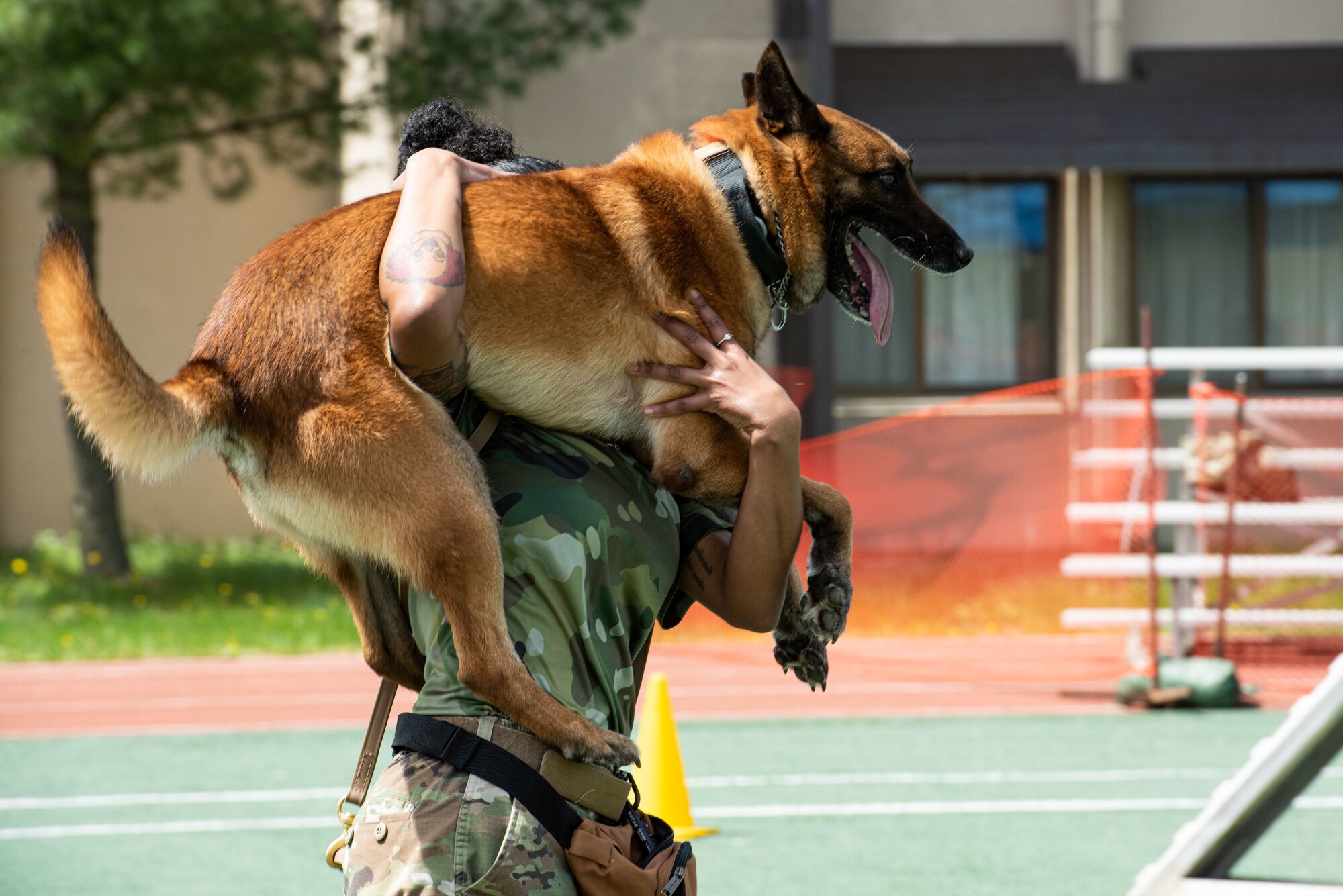 A military working dog handler carries her dog