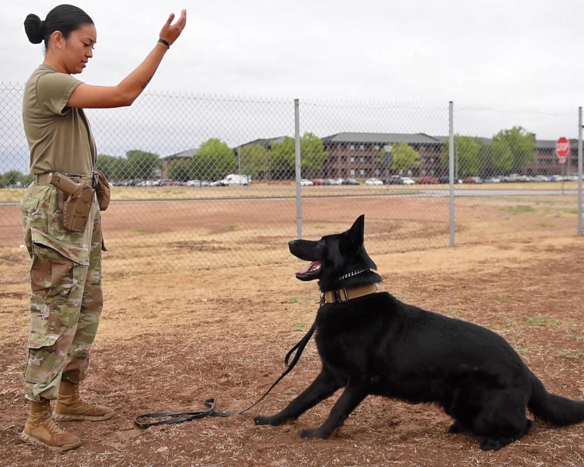 U.S. Air Force Senior Airman Georgina Silva, 17th Security Forces Squadron military working dog handler, trains MWD Aghi, 17th Security Forces detection dog, at Goodfellow Air Force Base, Texas, April 22, 2022. Silva and Aghi trained during every shift to reinforce the bond between the handler and their dog. (U.S. Air Force photo by Airman 1st Class Sarah Williams)