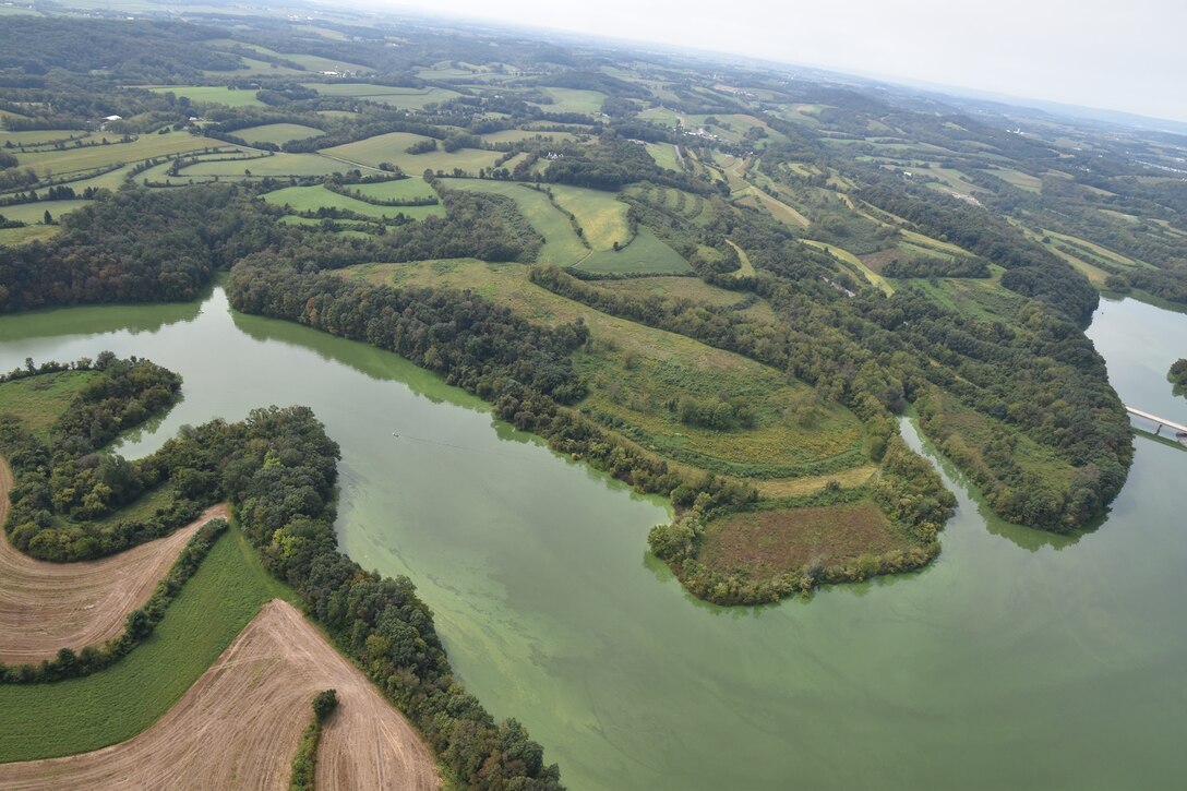 This photo shows an aerial view of an algal bloom/harmful algal bloom at Blue Marsh Lake, Leesport PA. The image shows a winding lake against a landscape that is generally green with brighter and darker green streaking of the algal bloom on the water's surface. Photo credit goes to Jim Demsko.