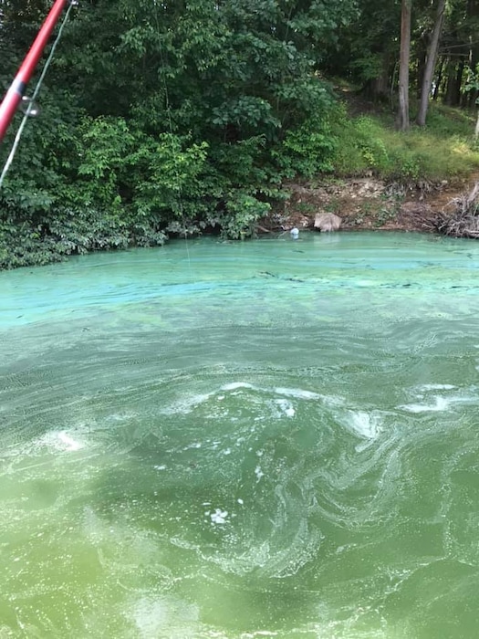 This photo shows another example of paint like streaking characteristic of a harmful algal bloom. Bright green water is streaked with white and blue green colors across the water's surface.