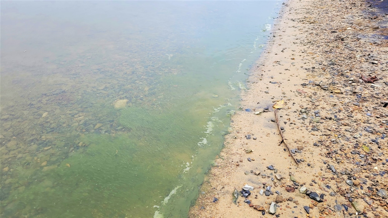 This photo displays an algal bloom occurring along the shoreline of the Blue Marsh Lake Swim Beach, Leesport PA. Wind and wave action can push algal blooms up along a shoreline making them very noticeable. 
Photo shows a shoreline with a distinct green line of algae along its edge.