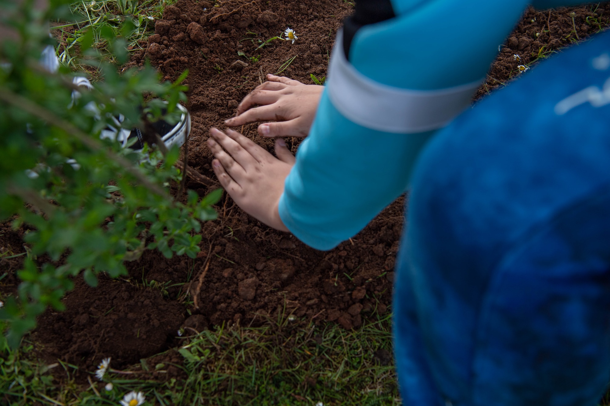 Students from Kaiserslautern Elementary School using their hands to press down on soil during a tree planting event, at Vogelweh Military Complex, Germany, April 26, 2022. The students encouraged each other to press gently to ensure the plant is not harmed. (U.S. Air Force photo by Airman 1st Class Jordan Lazaro)
