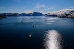 USCGC Maple (WLB 207) crew participate in the Danish Joint Arctic Command's annual joint large-scale Exercise Argus in Southern Greenland, June 23, 2021. Deployed forces demonstrated U.S. Coast Guard capabilities to build partner capacity and expertise in search and rescue, incident management, and marine environmental response. These efforts solidify key strategic relationships while achieving mutual Danish, Greenlandic, and U.S. goals in the North American Atlantic Arctic and Northwest Atlantic Ocean. (U.S. Coast Guard photo by Petty Officer 3rd Class Jose Hernandez)