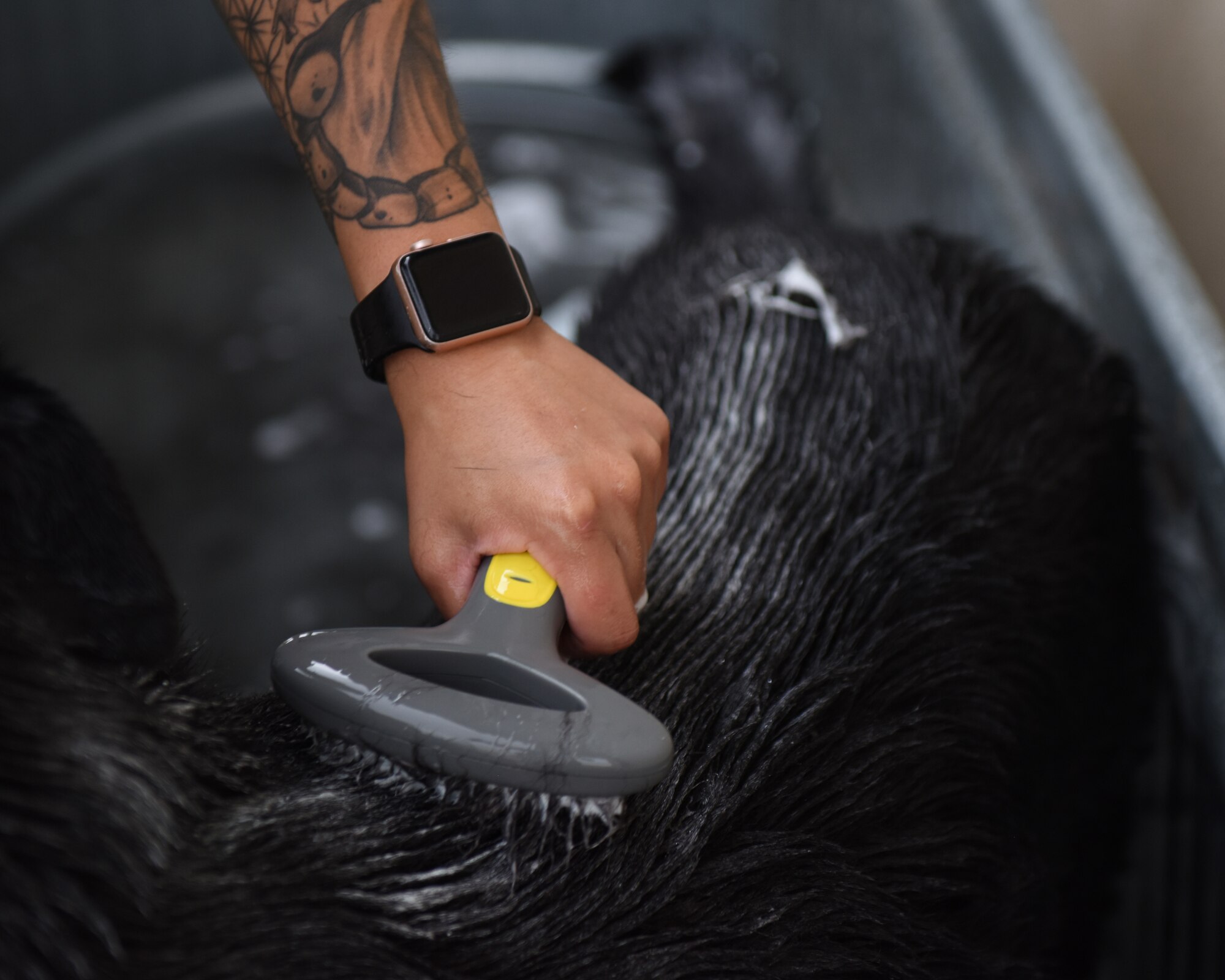 U.S. Air Force Senior Airman Georgina Silva, 17th Security Forces Squadron military working dog handler, combs shampoo through MWD Aghi’s fur at Goodfellow Air Force Base, Texas, April 22, 2022. Silva used a brush to capture fur shed during summer and helped the shampoo penetrate multiple layers of fur. (U.S. Air Force photo by Airman 1st Class Sarah Williams)
