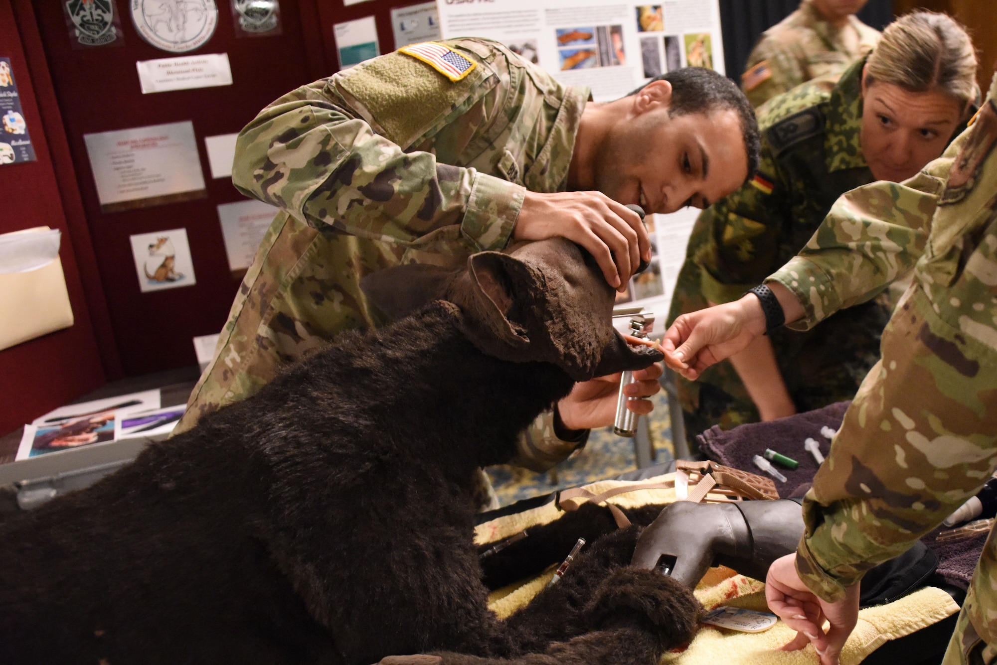 U.S. Army Cpl. Jeremy Burnham, Public Health Activity Rheinland-Pfalz animal care specialist, explains training aid functions for K9 emergency care simulations during U.S. Air Forces in Europe - Air Forces Africa’s European-African Military Nursing Exchange conference at Ramstein Air Base, Germany, May 10, 2022.