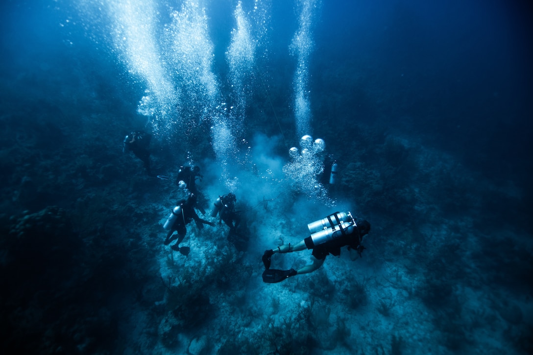 Members from Fleet Diving Unit Atlantic and Pacific, Royal Canadian Navy, assisted by U.S. Army Divers mentor Caribbean divers during search techniques training.