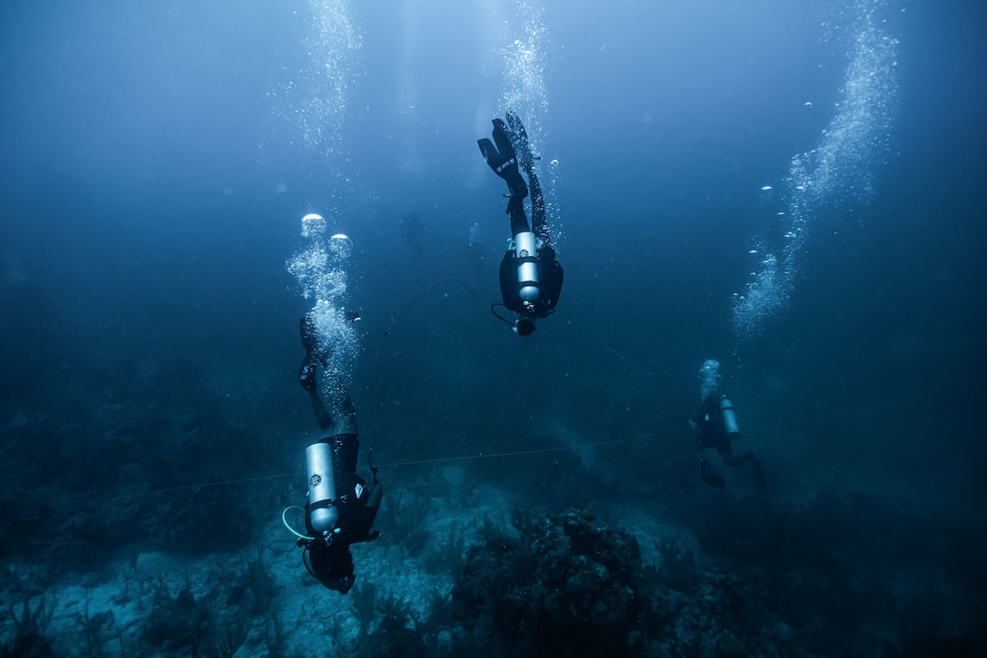 Members from Fleet Diving Unit Atlantic and Pacific, Royal Canadian Navy, assisted by U.S. Army Divers mentor Caribbean divers during search techniques training.