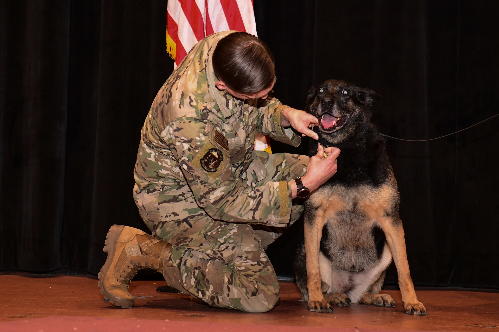 Military Working Dog retires