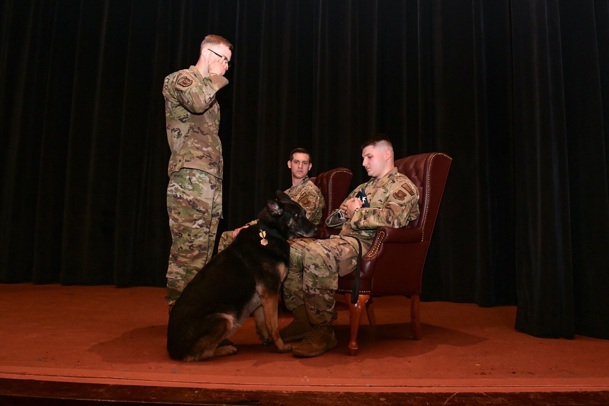 Military Working Dog retires