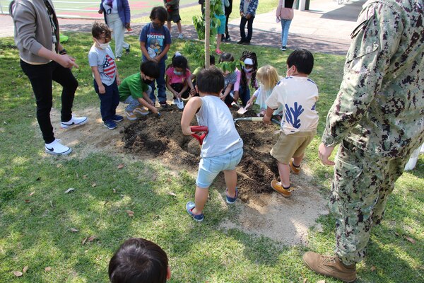 Commander Fleet Activities Sasebo, Japan (April 22, 2022) Staff and Sasebo Elementary school students planted a 10 foot Japanese Cherry (Sakura) Tree to commemorate Earth Day. Students assisted with backfilling the dirt and watering the tree, while maintenance staff personnel completed the planting, including supporting scaffolding, and the placement of a placard commemorating Earth Day