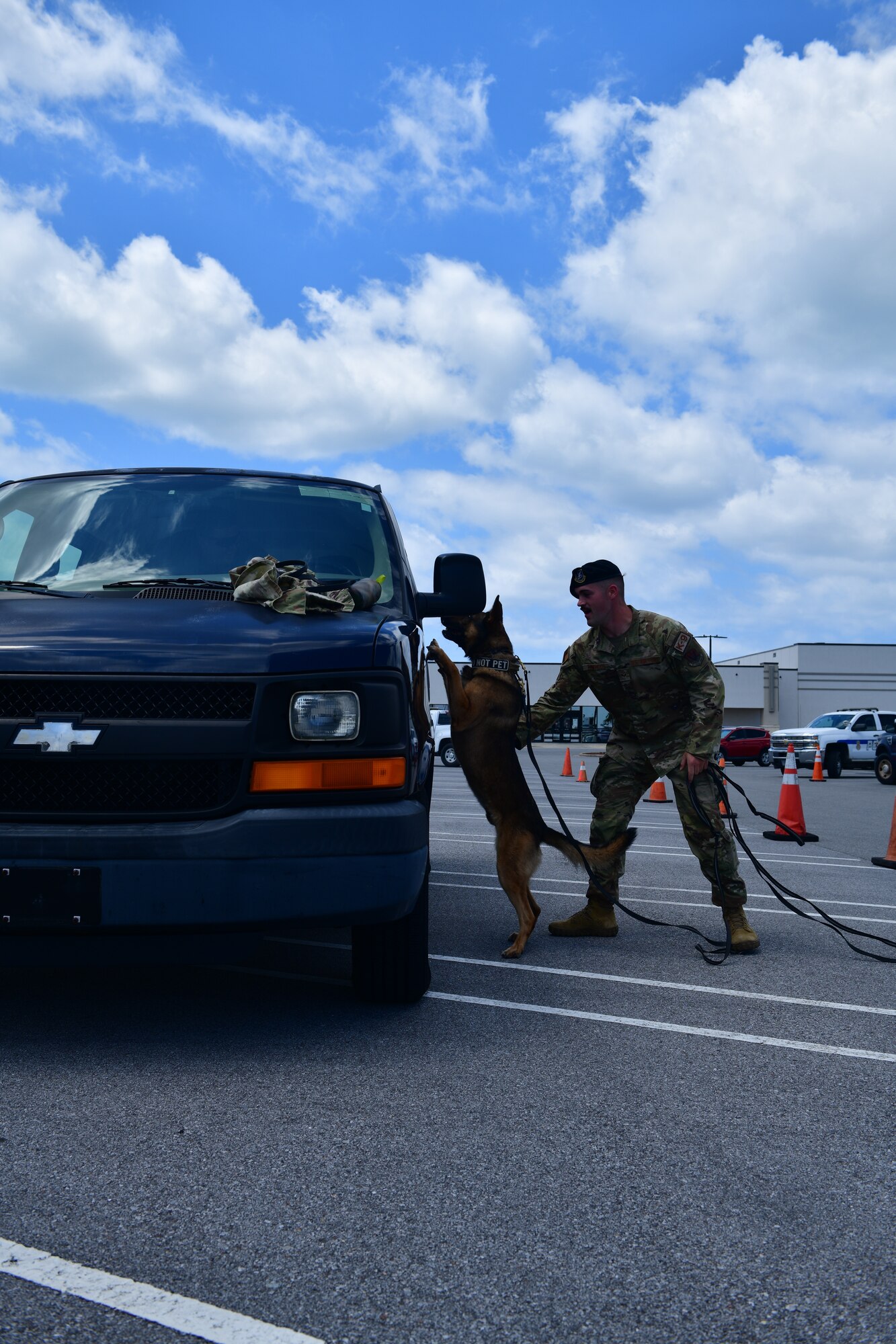 Military working dog handler