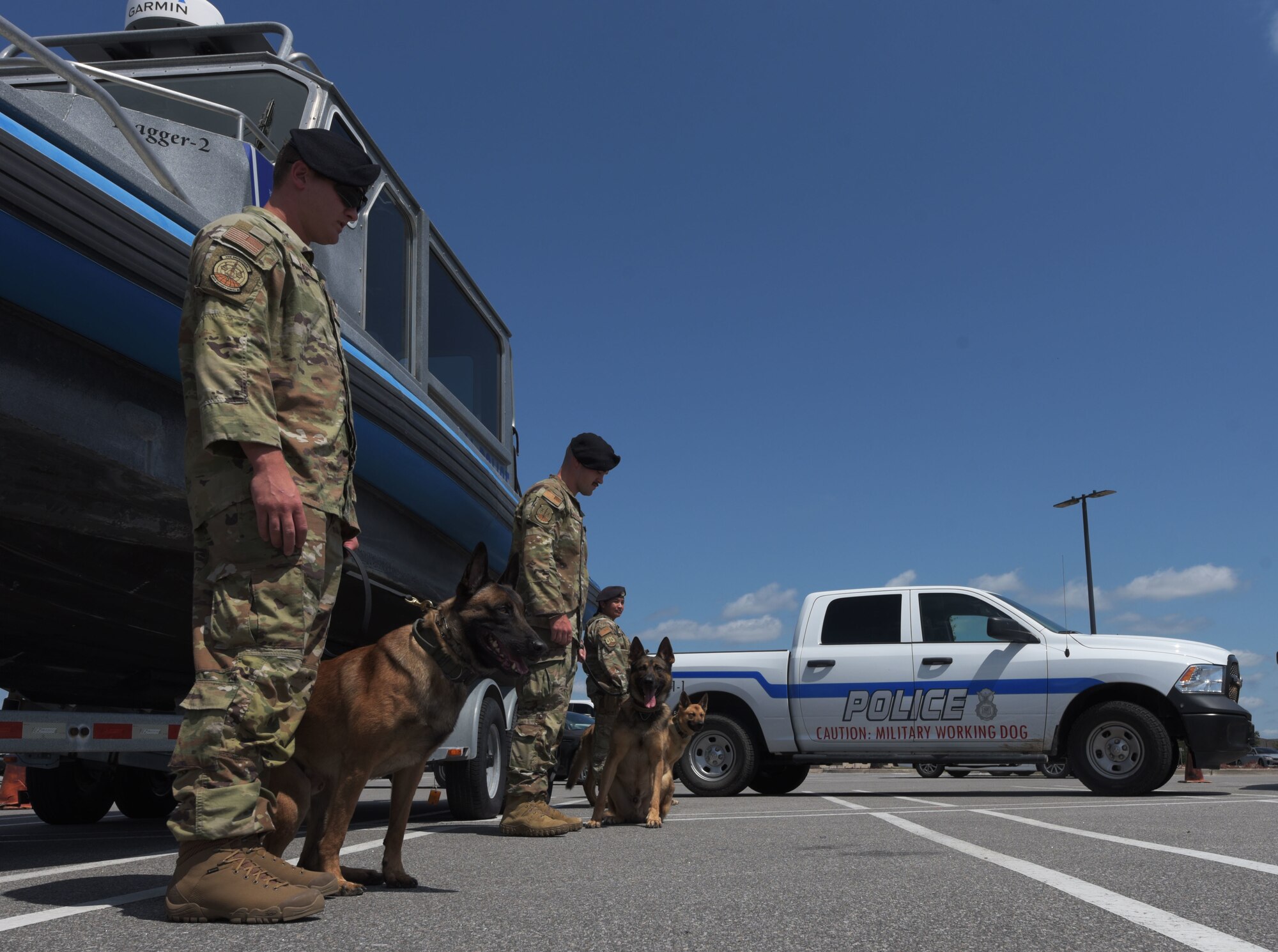 Military working dogs