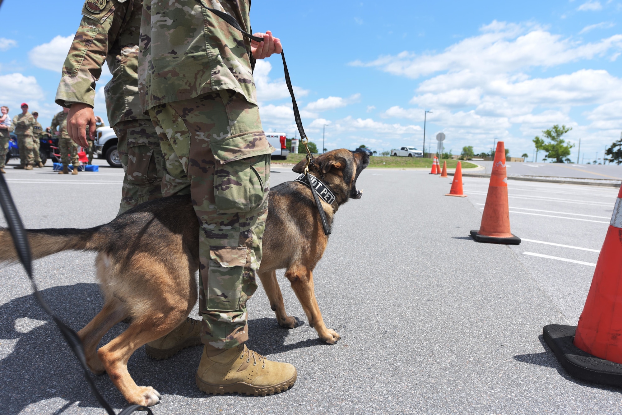 Military working dog handler